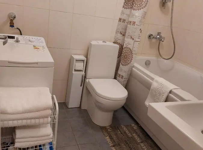 Rotermanni District Bee